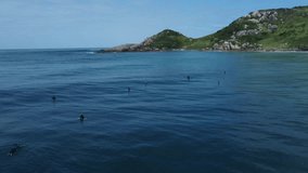 panoramic view of a surf spot with a beautiful coastline of stones and rocks in the Atlantic Ocean on a sunny day and calm weather without wind