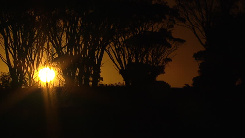 Vehicle driving off into sunset