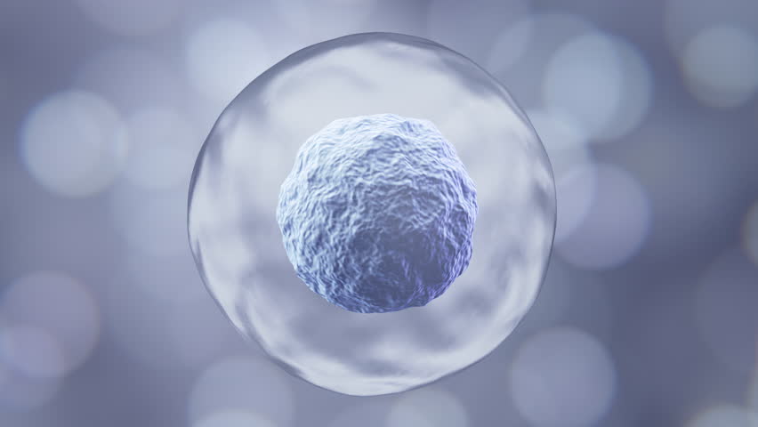 3d animation of Human cell or Embryonic stem cell microscope background.