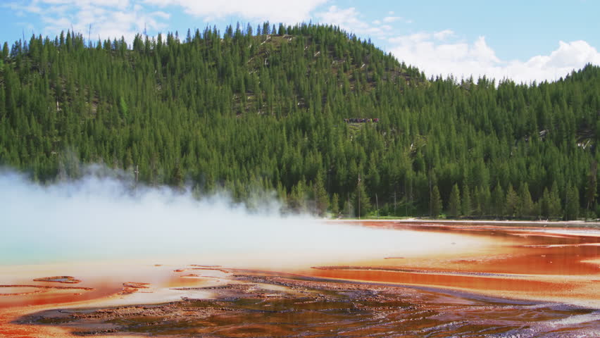 World-known Grand Prismatic spring with predominant red and orange colors in Yellowstone national park on a sunny summer day, hill with dense coniferous trees under blue sky. High quality 4k footage