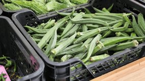 garden stuff shop window with display plastic boxes filled with okra fruits. High quality 4k footage - Powered by Shutterstock - Get 15% off with code: PIKWIZARD15