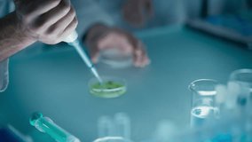 Researcher Taking a Sample with a Pipette and Dropping the Blue Liquid into a Petri Dish. Scientist Putting the Glassware Under a Microscope. Lab Experimentation for Biotechnology and Genetic Studies - Powered by Shutterstock - Get 15% off with code: PIKWIZARD15
