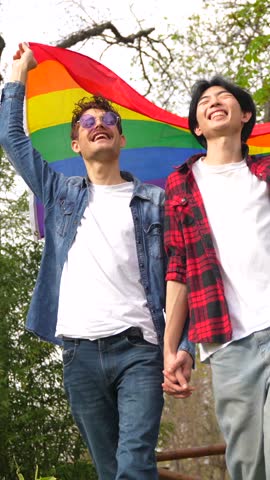 Portrait of happy multi-ethnic gay people waving lgbt rainbow flag in a park