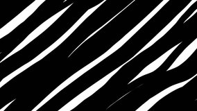 Cross black lines moving animation on white background
