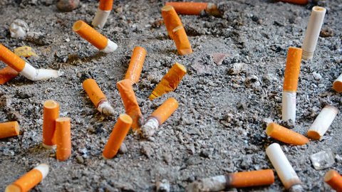 SINGAPORE - JAN 2015: Dozens of extinguished cigarette butts of varying brands. discarded in a designated receptacle. many protruding from the sand.