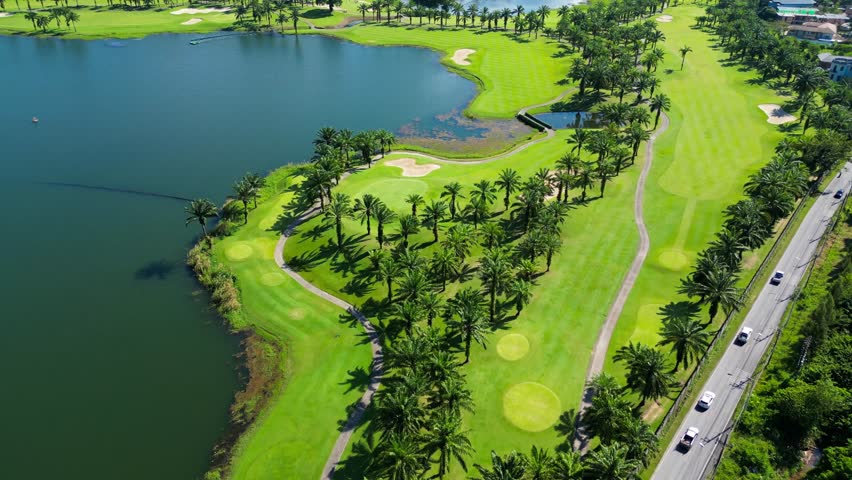 Lake with palm trees. Drone video. Part 10