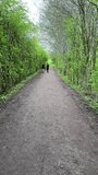 Vertical video. Rear view of two distant young men jogging on footpath amongst fresh spring greenery, handheld shot.