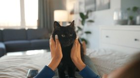 Cozy Comfort, Woman Affectionately Pets Black Cat in Bed, Witness a heartwarming moment as a woman tenderly strokes a black cat resting on the bed in a cozy room, epitomizing the bond between human - Powered by Shutterstock - Get 15% off with code: PIKWIZARD15