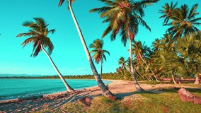 Sunny Hawaiian island palm beach. Summer holidays on a paradise tropical seaside. Coconut palm trees stand on a beautiful golden sand beach by the clear blue calm sea on a sunny day. Cruise.
