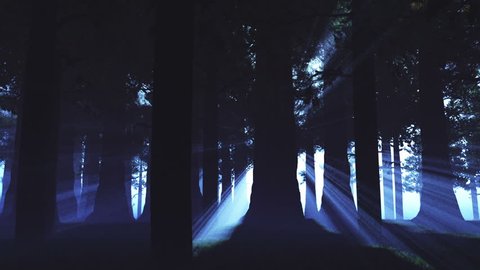 Supernatural Forest Lightrays