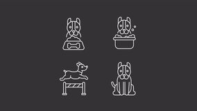 Live with dog white line animations. Animated dogs white icons. Pet care routine. Bathing dog. Pet ownership. Isolated illustrations on dark background. Transition alpha. HD video. Icon pack