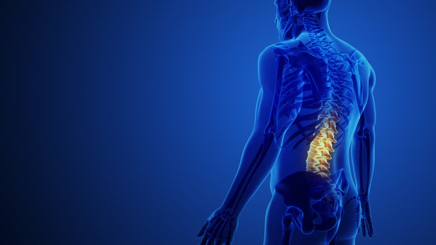 3d medical of lower back pain