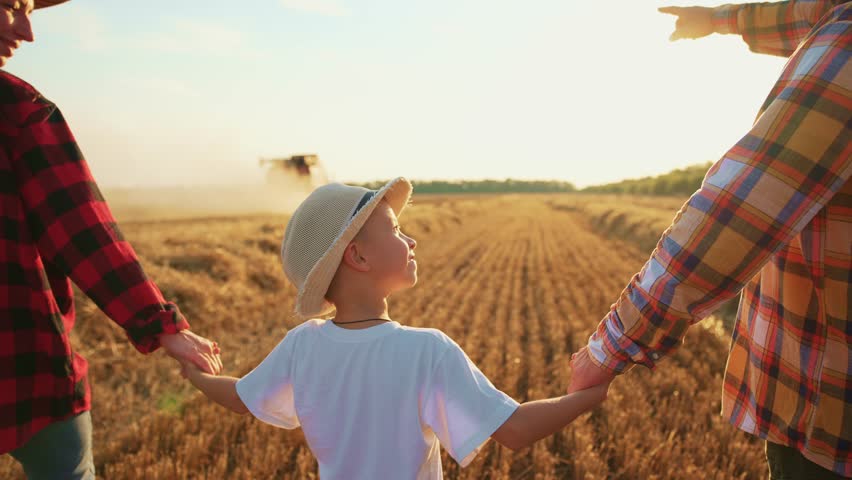 Family walking on wheat field on farm. Back view parents boy holding hands talking together in summer vacations. Farmers having fun together in harvesting time. Farming activity, recreation concept.