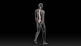 vertebral column position during walking 3d rendered video clip