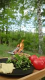 Vertical footage of cucumber, tomatoes, plant, food to prepare on wooden board near campfire. Plate of food in clearing on background bonfire and forest at spring or summer day