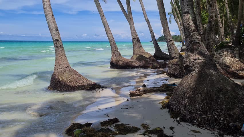 Boracay Island, Philippines. Leaning Palm Trees Above Waves and Sand of White Beach