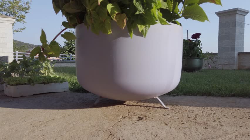 White metal pot with red flower on a porch in Greece in the summer, panning up