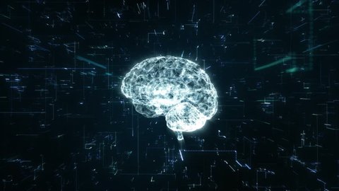 Animation illustrating the creation of 3d space out of binary code through the brain processes in the brain.