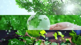 Collage of various natural scenes and environmental technology concept. Green tech. Sustainability. Sustainable transformation. Wipe transition from white background. - Powered by Shutterstock - Get 15% off with code: PIKWIZARD15