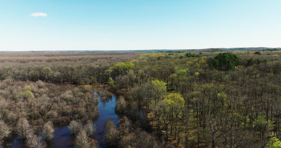 Panoramic View Over Wetlands And Trees In Bell Slough Wildlife Area, AR, USA - Drone Shot