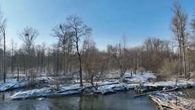 River floodplain delta winter snow meander drone aerial inland video shot in sandy sand alluvium freezing cold frost, benches forest and lowlands wetland swamp, quadcopter view flying fly flight show