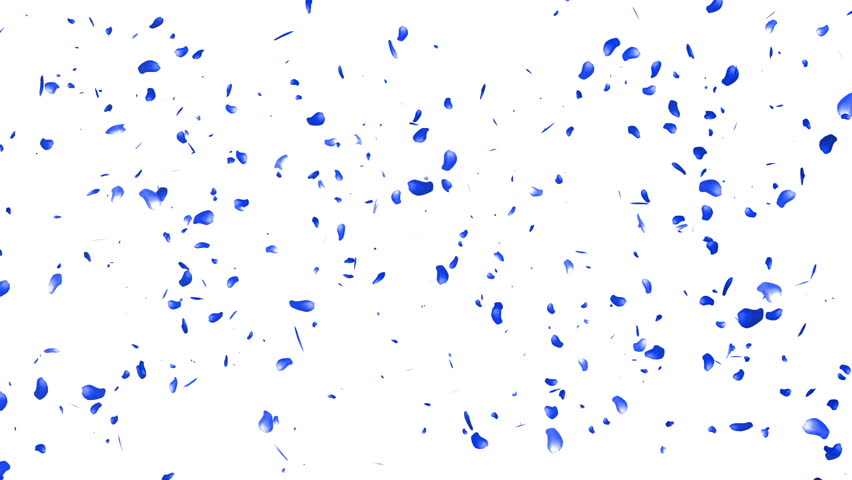 Falling Sakura Petals Cherry Blossoms Stock Footage Video (100% Royalty-free) 3482054 | Shutterstock