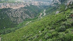 Panoramic drone view of canyon, forest, and winding mountain road. Aerial footage captures lush canyon, forest, and scenic route. Explore canyon, forest terrain and road from above