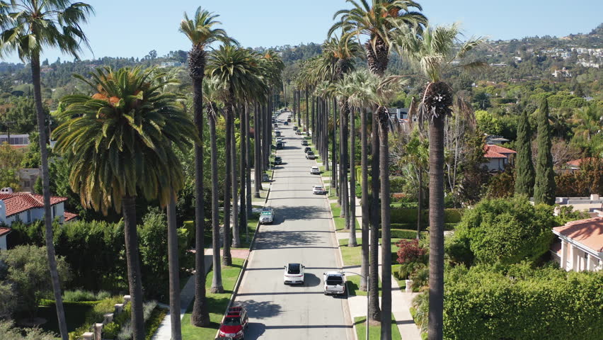 Aerial shot of affluent Beverly Hills neighborhood with cars and palm trees