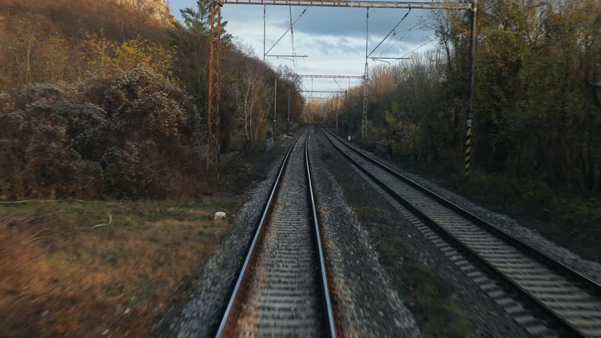 Shutterstock Video