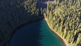 4k Aerial drone video footage of a beautiful forest lake captured in summer time 