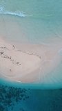 Vertical Drone Footage of the Sandy Beach with Turquoise Water
