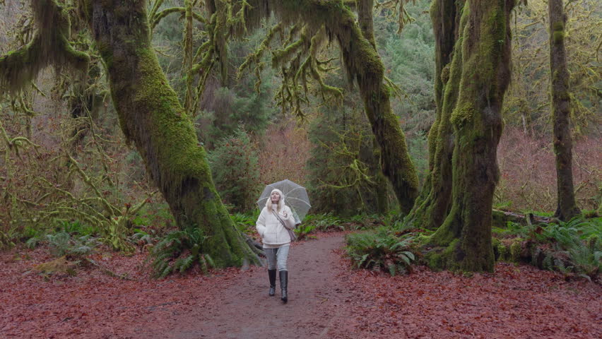 Clad in a winter ensemble, a hiker finds solace under the emerald canopy of a moss-draped forest, embodying the quietness of the wilderness. It is raining. Footage 4K.  Royalty-Free Stock Footage #3482296965
