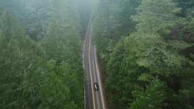 Drone flying behind automobile speeding on road in Redwood National and State Parks, California, USA. Picturesque forest landscape with pine trees. Modern car driving between the trees, 4k footage 