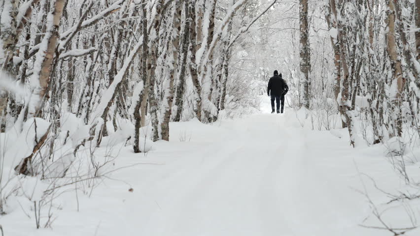 Rear View of People Walking on Snowy Lapland Forest Trail STATIC