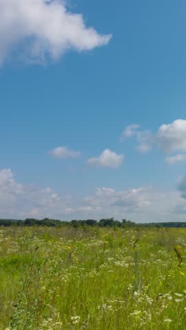 Summer time lapse of rural meadow Landscape. Good warm weather