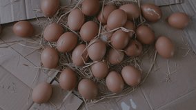 Natural Brown Chicken Eggs in Straw, Rotation view of Eco Clean Healthy Food in Countryside, GMO free. Animal products from Chicken Farm, Egg Selection, Egg Production Factory. High quality 4k footage