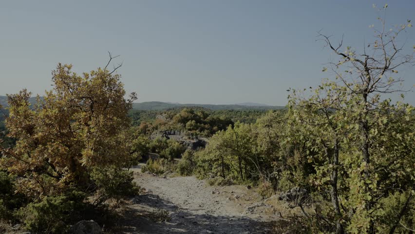 Walking Through Trees At Harman Kaya Ancient Thracian Sanctuary In Bulgaria. handheld shot