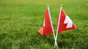 Flag of Switzerland on the grass. The Swiss flag flutters in the wind. - Powered by Shutterstock - Get 15% off with code: PIKWIZARD15