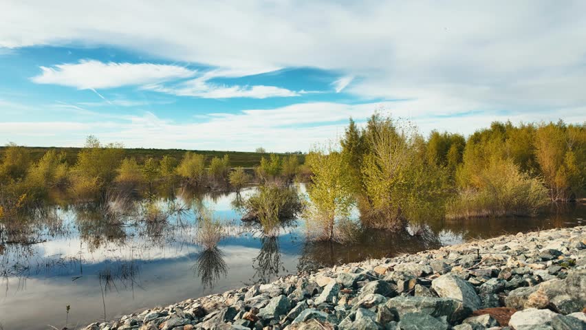 Time lapse in the evening over a wetland 