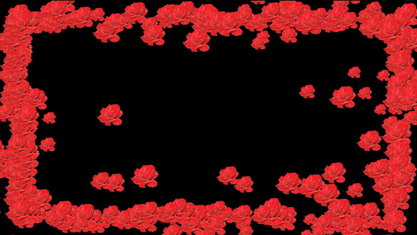 Red rose frame