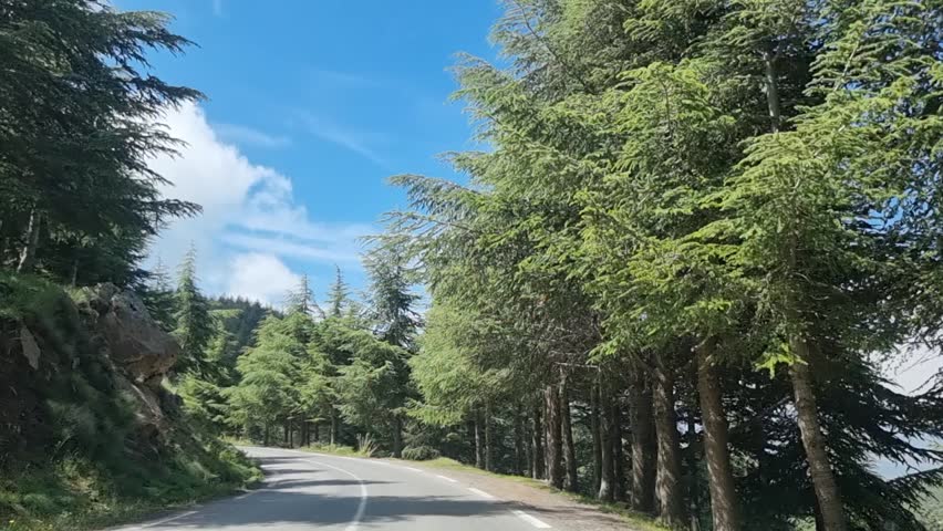 As the winding road gently weaves through the majestic Algerian mountains, the dramatic clouds in the sky create a breathtaking backdrop for a scenic journey