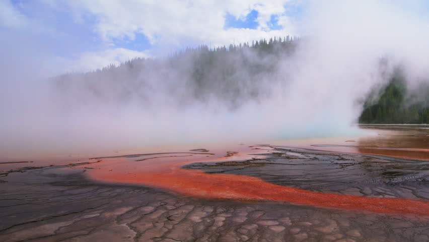 Mesmerizing colorful landscape of Grand Prismatic spring at the foot of a hill overgrown with coniferous forest, the tops of which touching blue skies with white fluffy clouds. High quality 4k footage