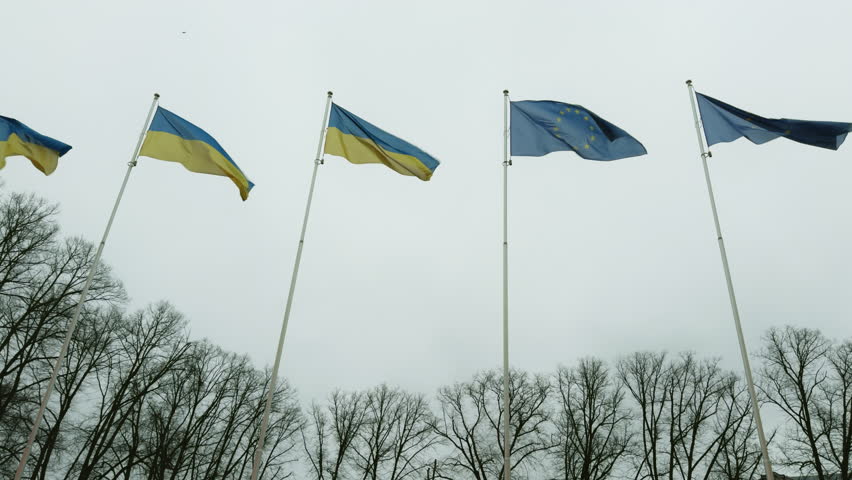 A row of blue and yellow flags fluttering in the wind under a clear sky