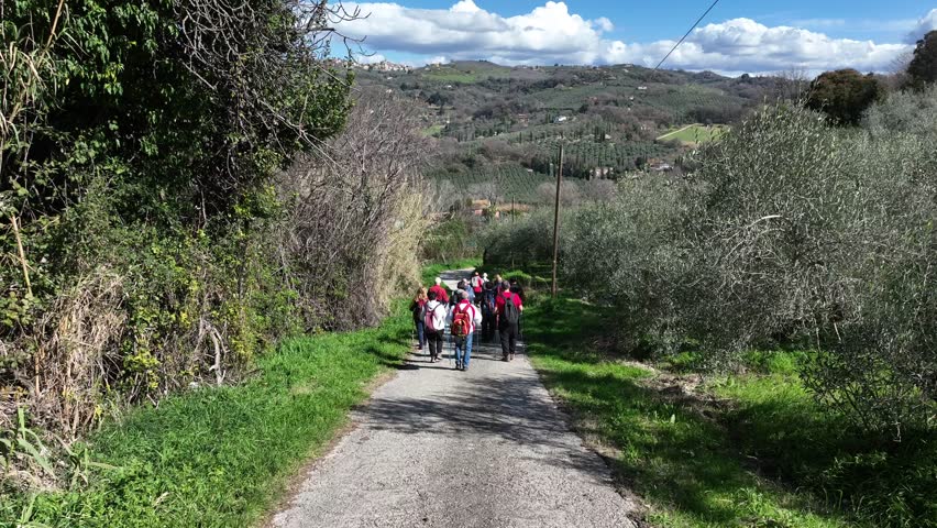 A group of hiking tourists walks through the olive trees.
Outdoor sports, backpacking and walking in the woods of the Italian hills, among the trees.