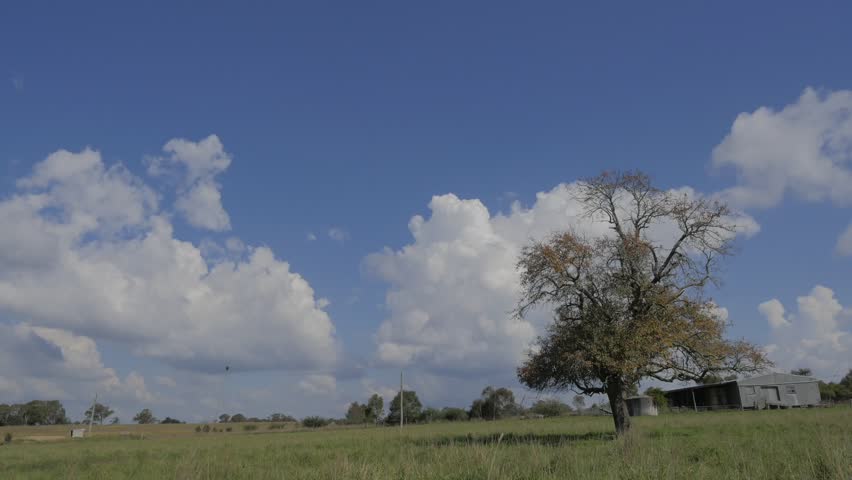 Farm Paddock Clouds Royalty-Free Stock Footage #34832170