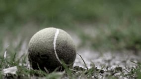 Tennis Ball Left in the Spring Rain, Slow Motion Video, Wet Grass, Mud