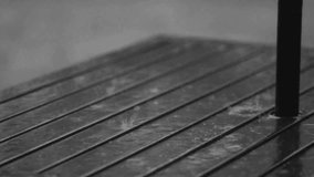 Spring Rain on Outdoor Patio in Slow Motion, Video