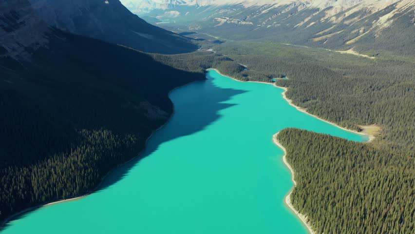Aerial view of the incredible Peyto Lake. Beautiful turquoise waters, surrounded by thousands of pine trees on a sunny day.