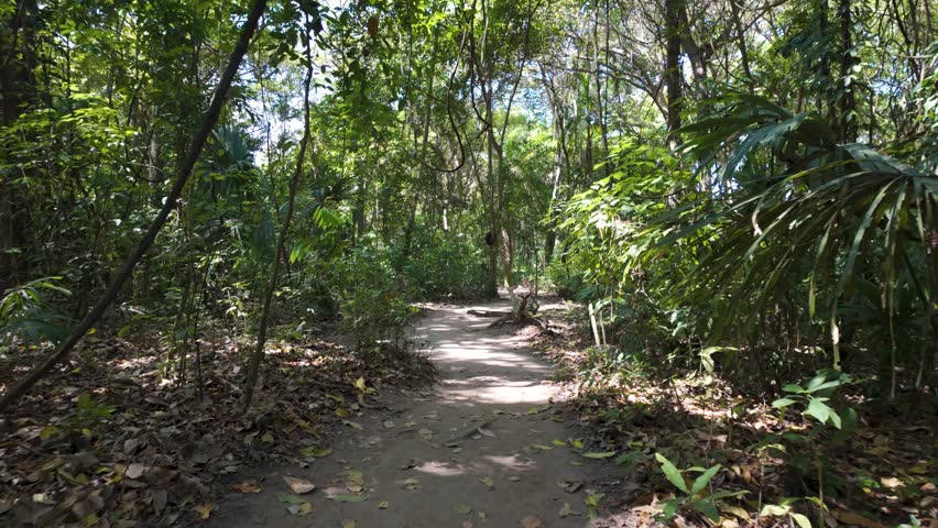 Quiet trail in Colombia