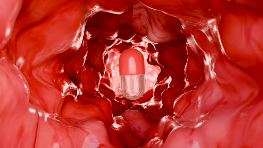 Probiotics in intestinal tract. endoscopy through intestines. Microbiota, Pill Capsule with vitamins for digestive system, stomach pain treatment, colonoscopy, Red microvilli, Colon, 3d render